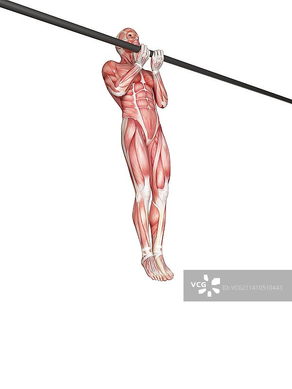 使用单杠的人图片素材