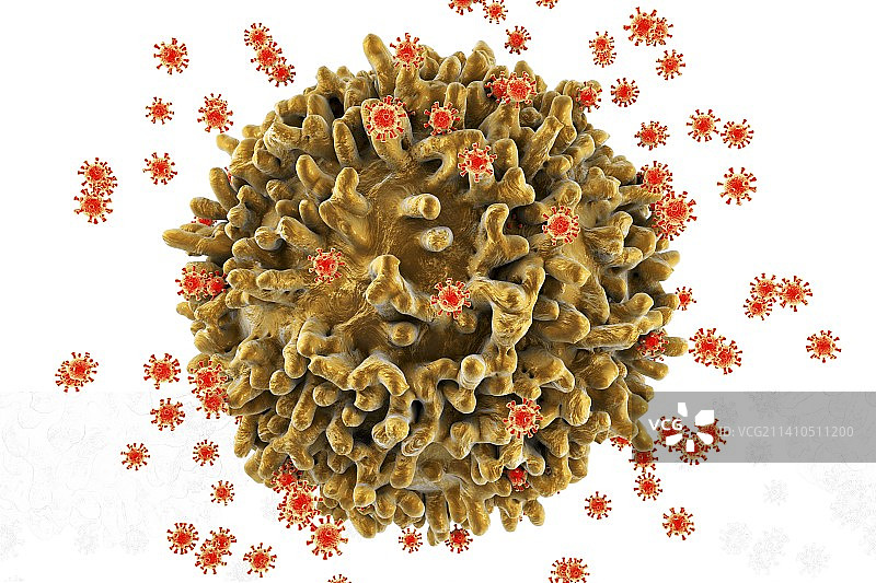 艾滋病毒图示图片素材