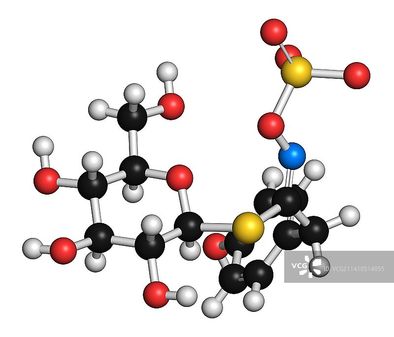 黑芥子硫苷酸插图图片素材