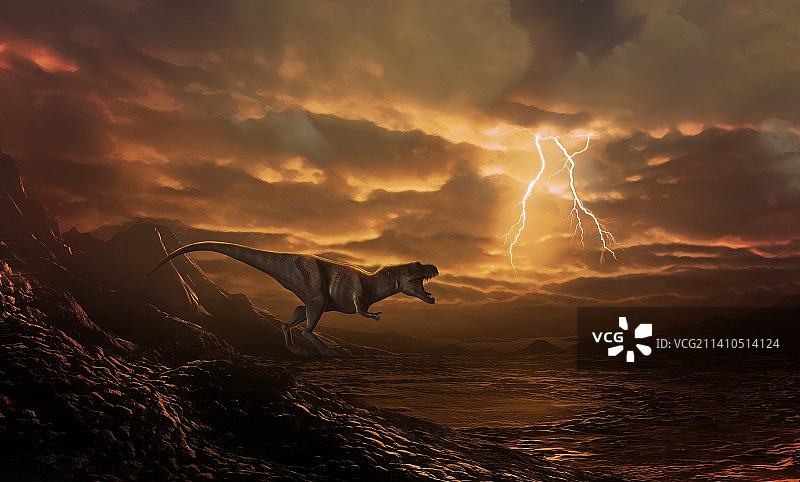 霸王龙勘察荒凉的景观图片素材