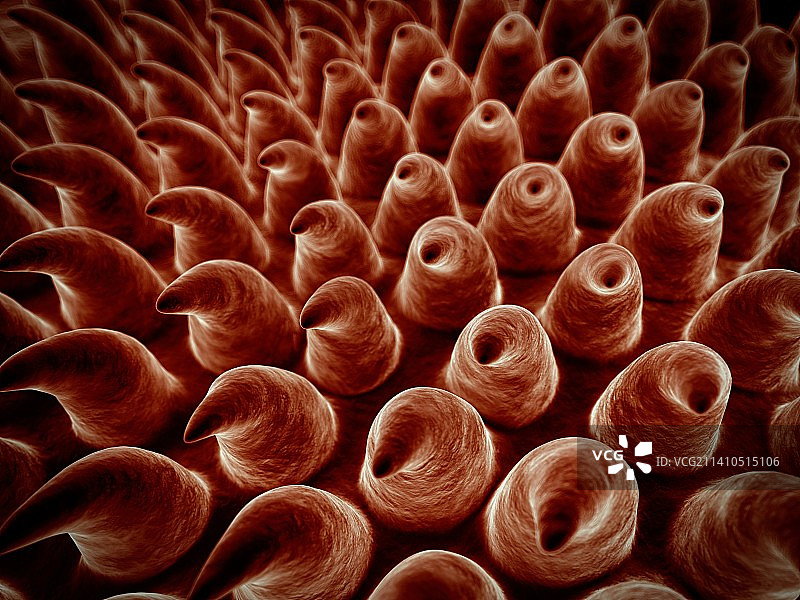 舌头表面图片素材