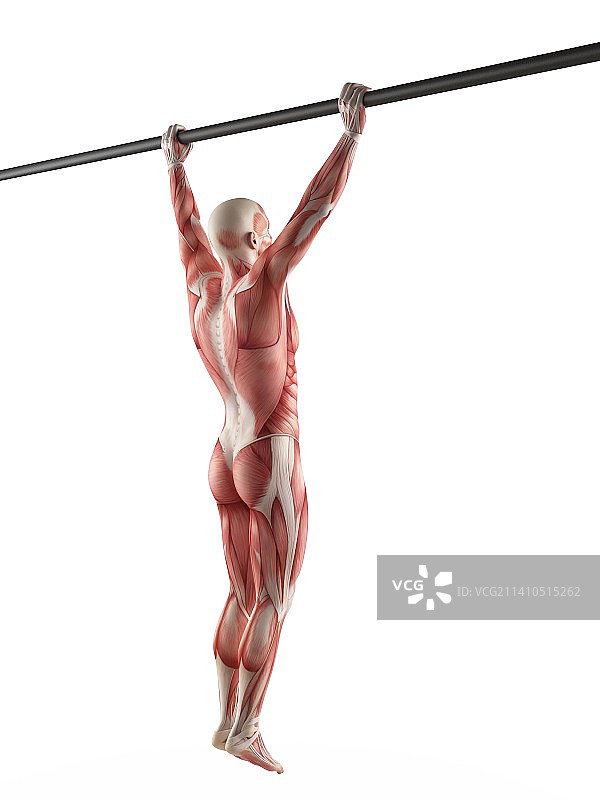 在易拉宝上锻炼的人图片素材