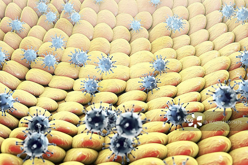 感染细胞的病毒，图示图片素材