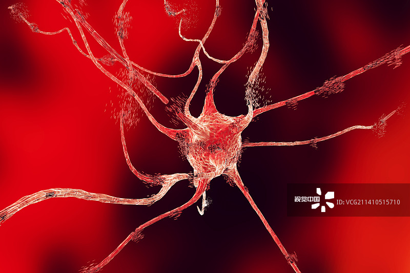 神经元凋亡，图示图片素材