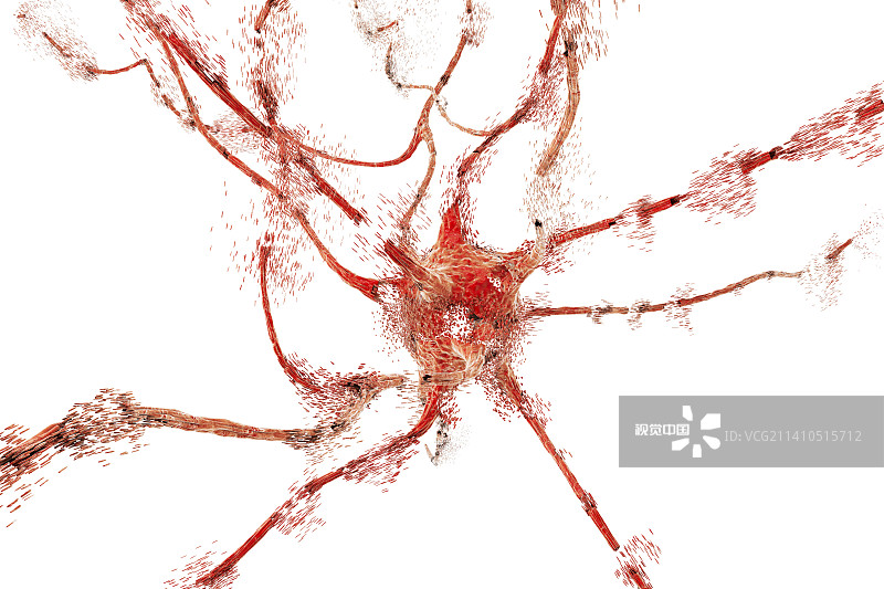 神经元凋亡，图示图片素材