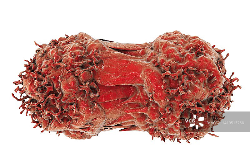 癌细胞分裂示意图图片素材