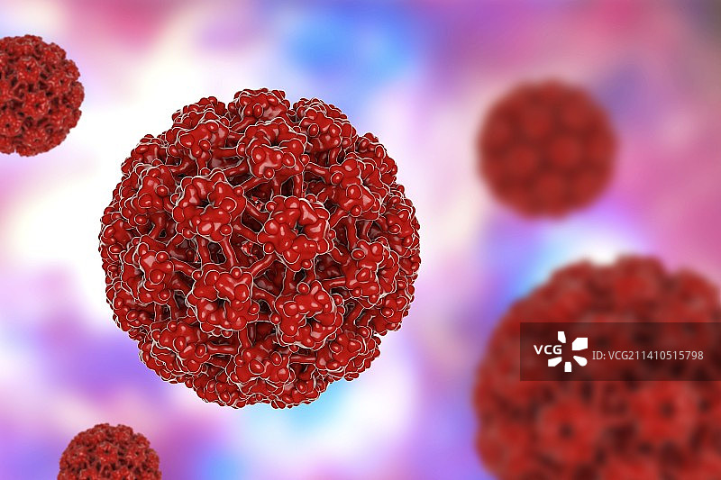 人乳头瘤病毒，图示图片素材