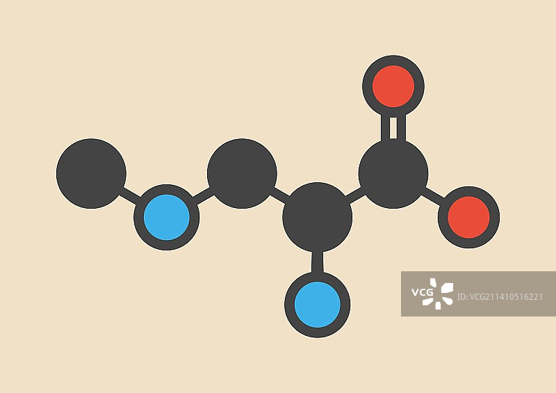 β-甲氨基-L-丙氨酸分子图片素材