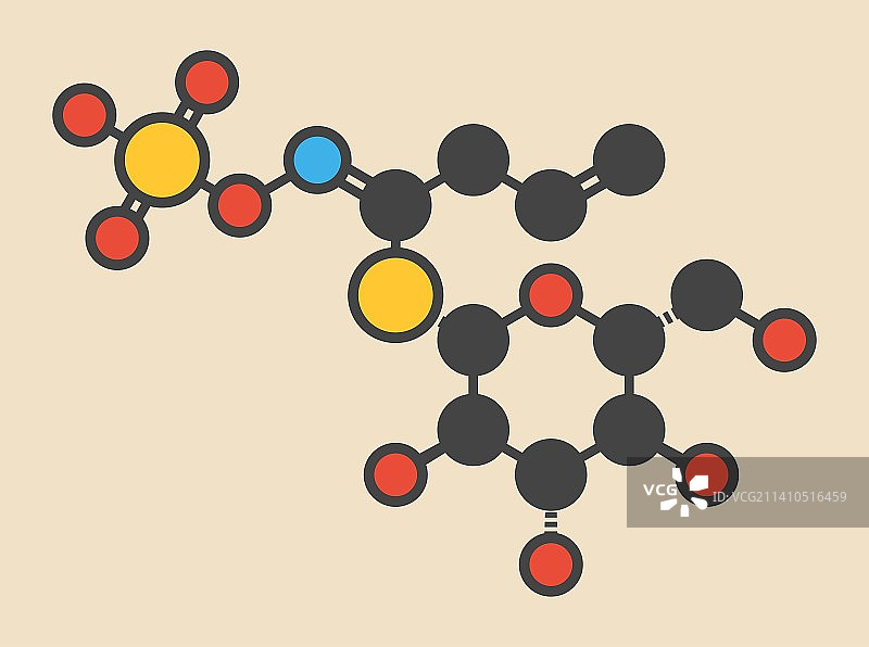 黑芥子苷分子图片素材