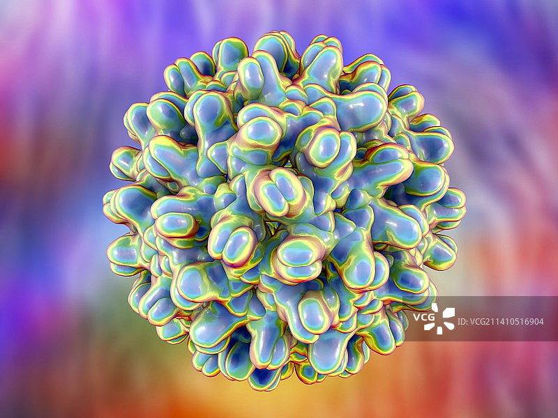 乙型肝炎病毒颗粒图图片素材