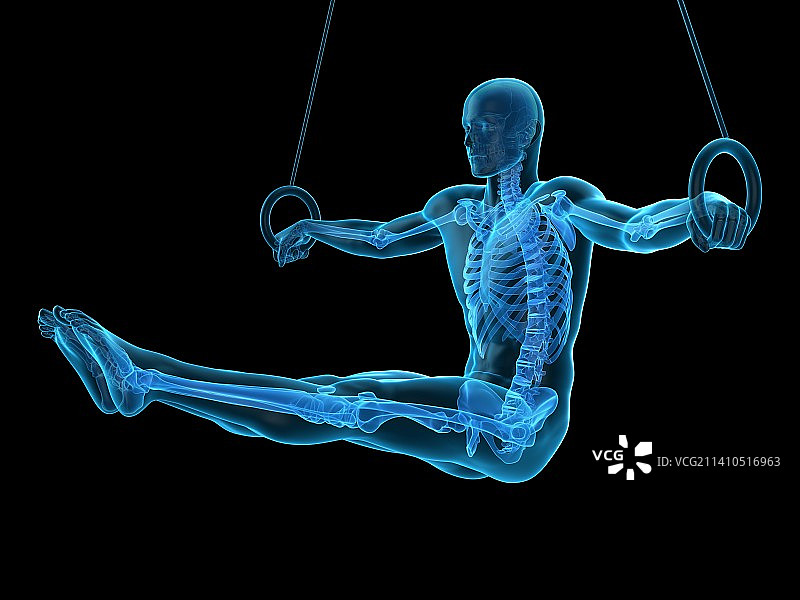 运动员的骨骼结构插图图片素材