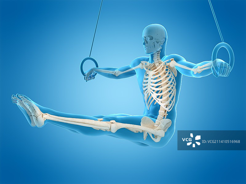 运动员的骨骼结构插图图片素材
