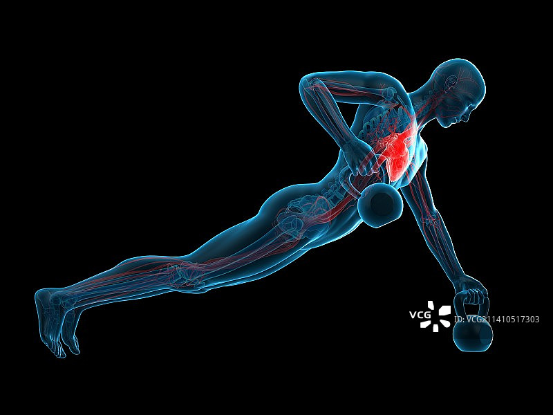 举起壶铃的人，插画图片素材