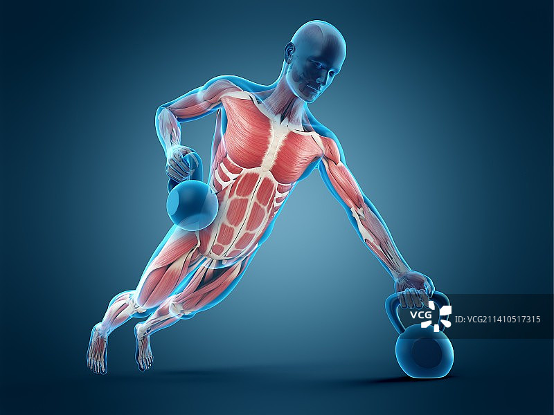 举起壶铃的人，插画图片素材