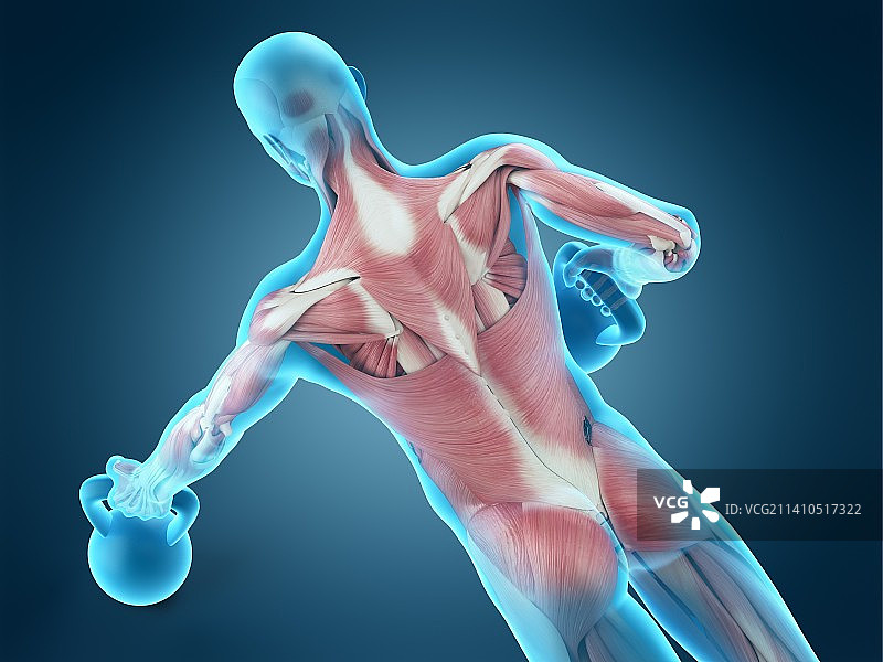 举起壶铃的人，插画图片素材