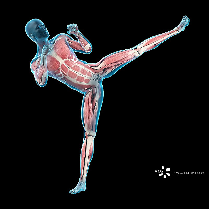 高踢腿的人，插图图片素材