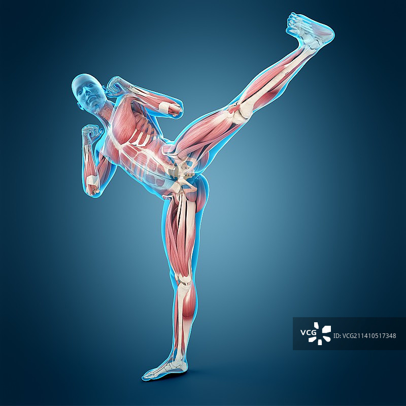 高踢腿的人，插图图片素材