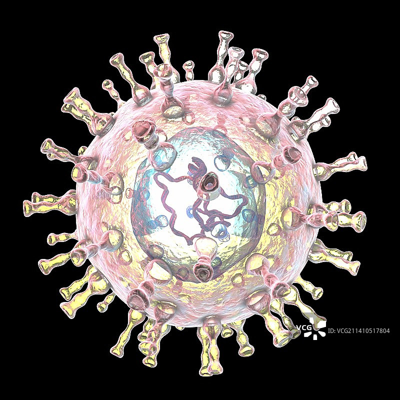 水痘病毒，图示图片素材