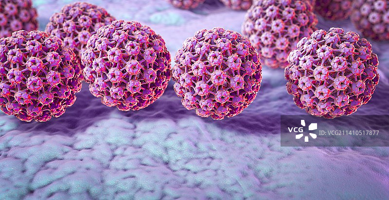 人乳头瘤病毒，图示图片素材