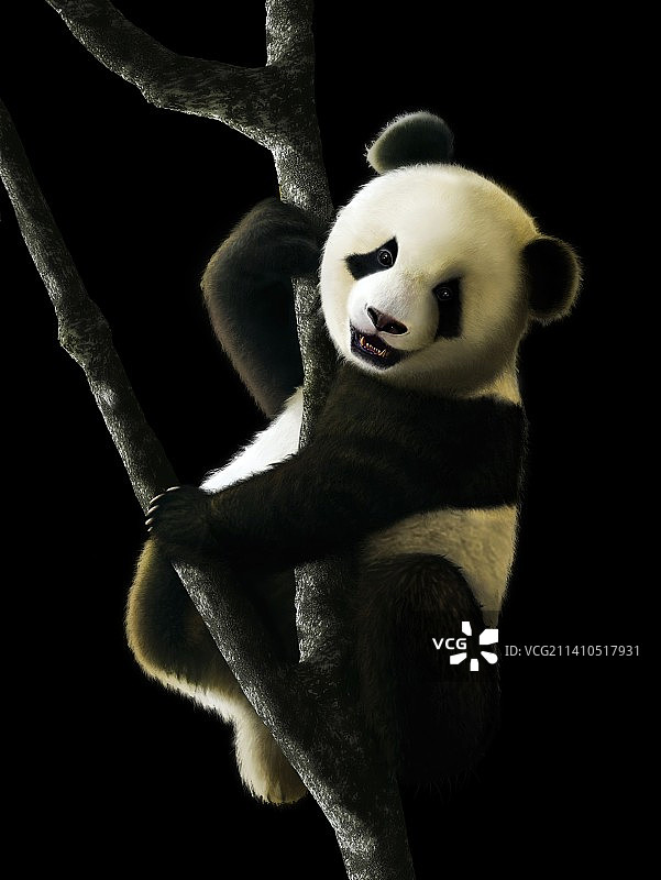 幼年大熊猫概念艺术图图片素材