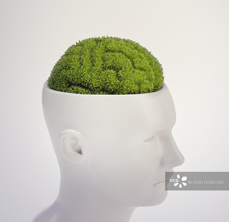 人类植物大脑图片素材