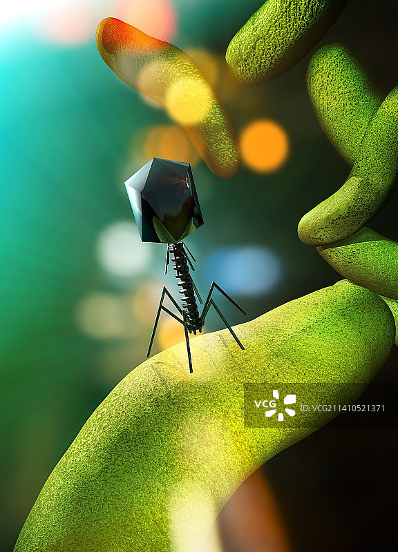 噬菌体病毒攻击细菌，图示图片素材