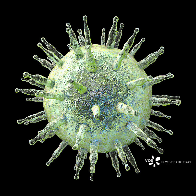 EB病毒图示图片素材