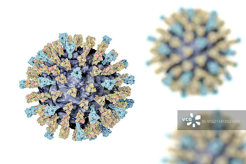麻疹病毒插图图片素材