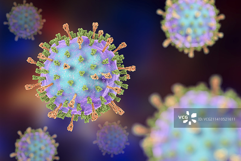 腮腺炎病毒示意图图片素材