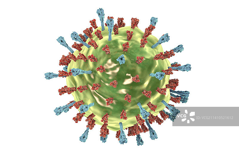 腮腺炎病毒示意图图片素材