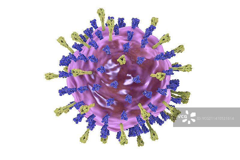 腮腺炎病毒示意图图片素材
