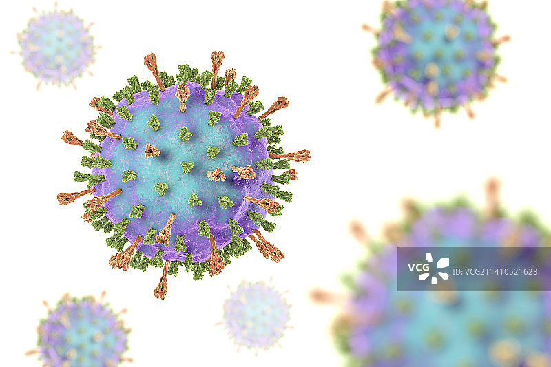 腮腺炎病毒示意图图片素材