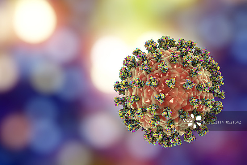 人副流感病毒医学插图图片素材