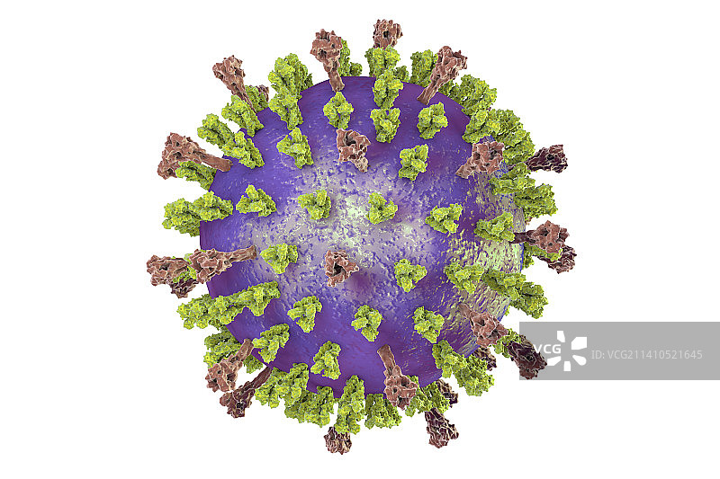 呼吸道合胞病毒插画。图片素材