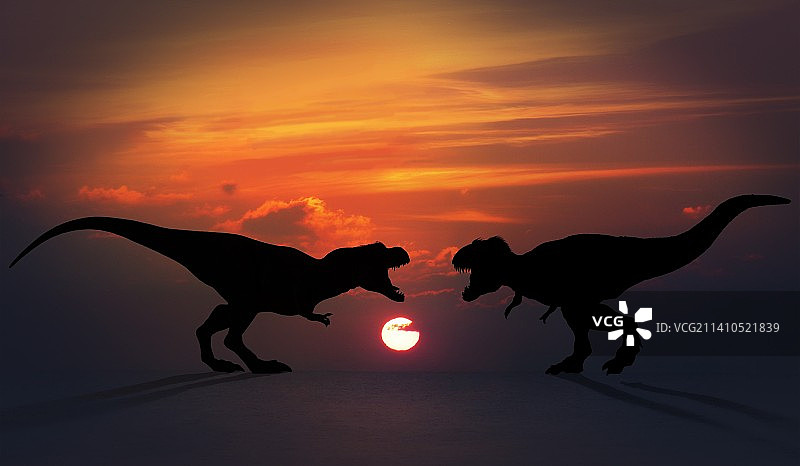 霸王龙打斗图片素材