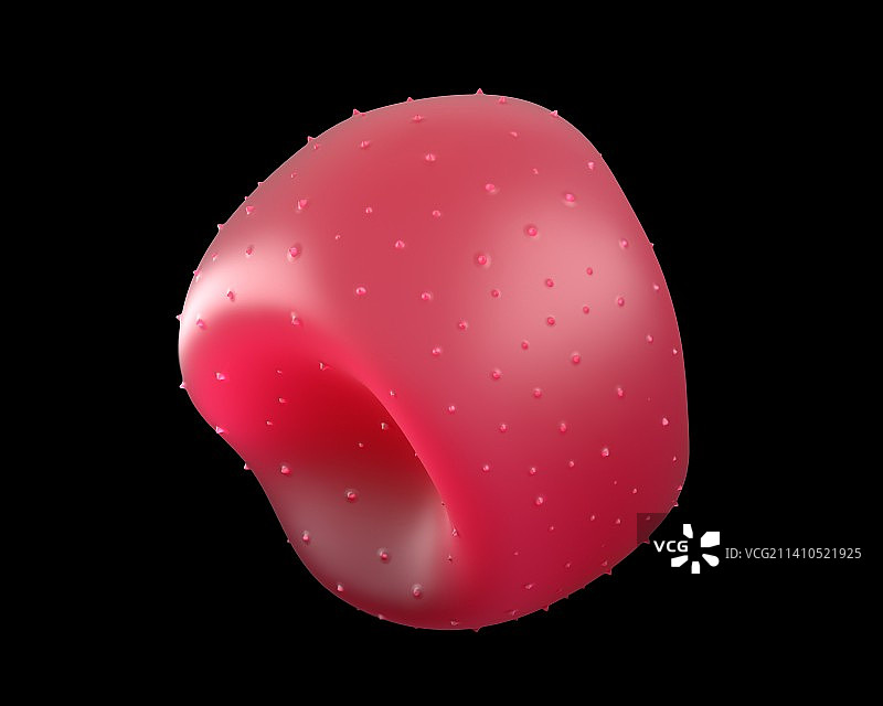 乌头花药和花粉图片素材