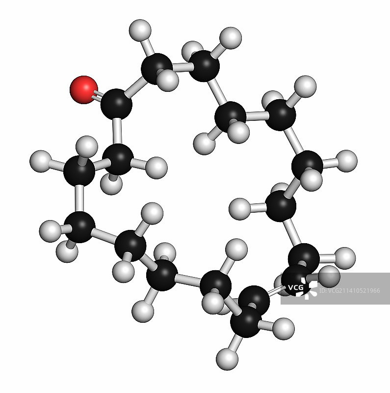 麝猫酮信息素分子结构图图片素材
