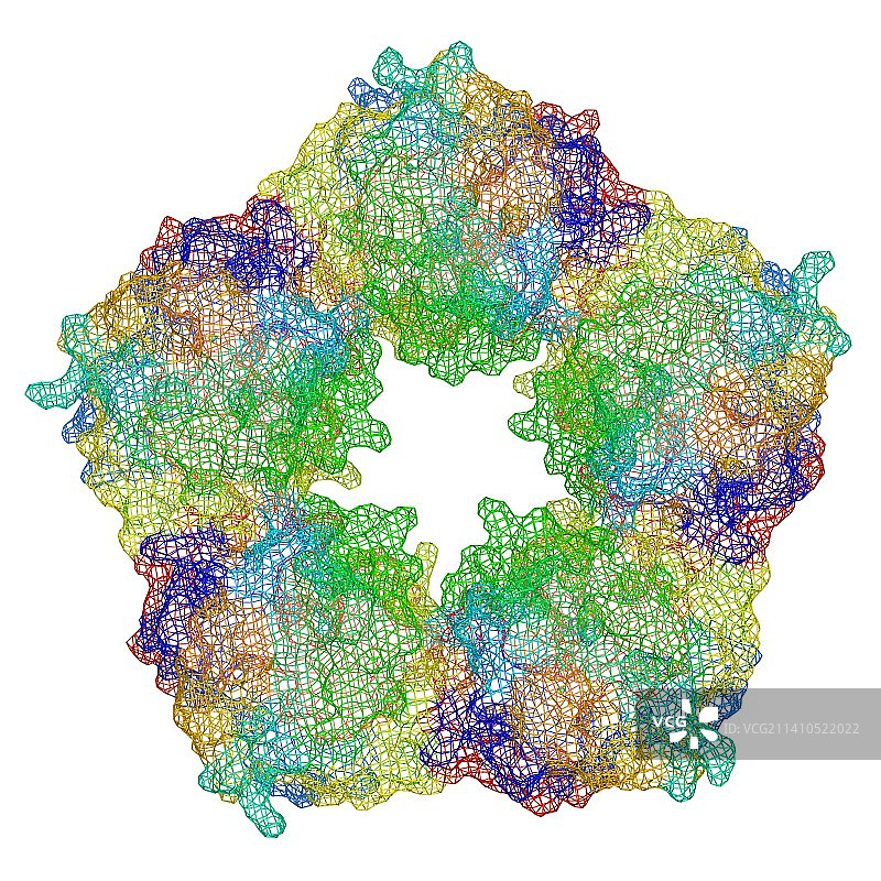 C反应蛋白分子模型图片素材