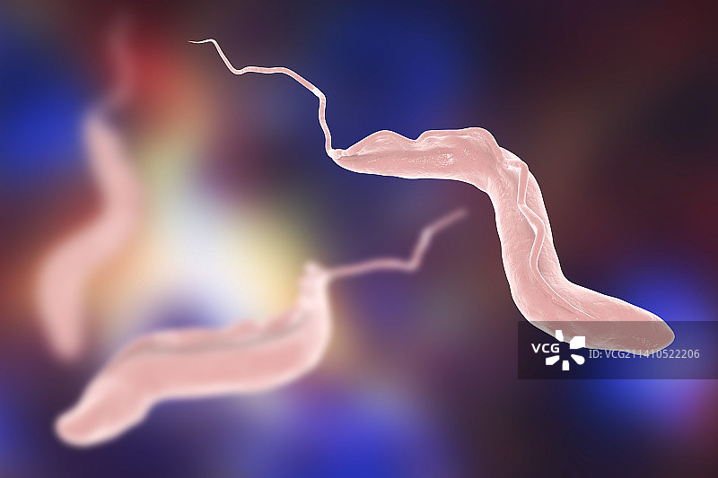 昏睡病寄生虫，图示图片素材