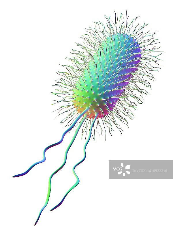 大肠杆菌艺术图图片素材