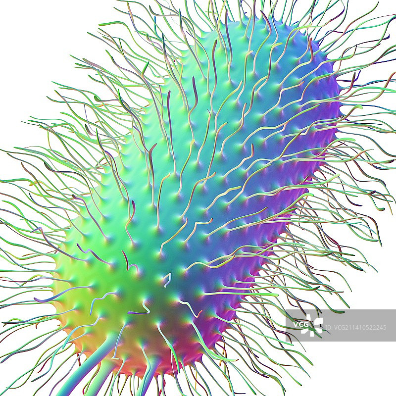 大肠杆菌艺术图图片素材