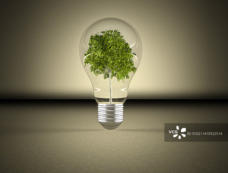 灯泡里的树图片素材
