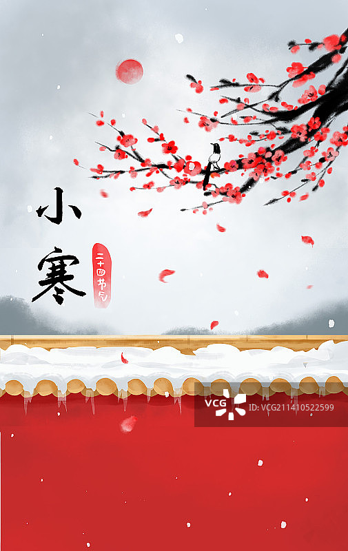 二十四节气之小寒宫墙外盛开的红梅花图片素材