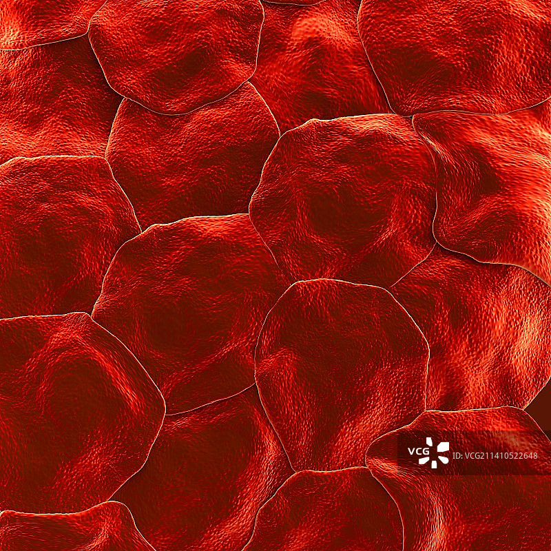 人体皮肤图片素材