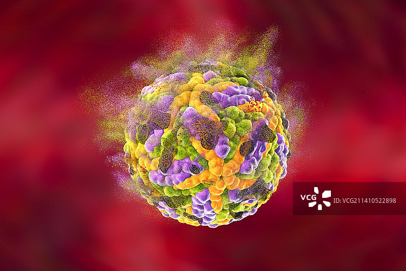 寨卡病毒破坏示意图图片素材