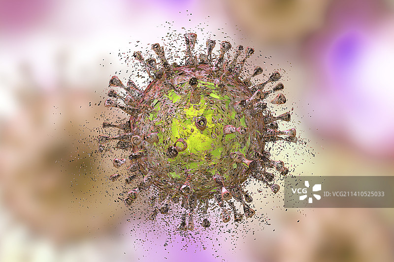 巨细胞病毒的破坏，图示图片素材