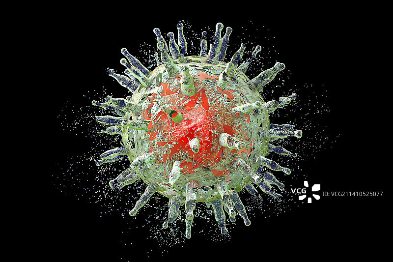EB病毒破坏图图片素材
