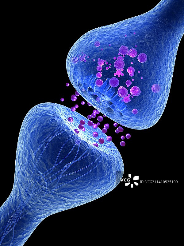 突触示意图图片素材