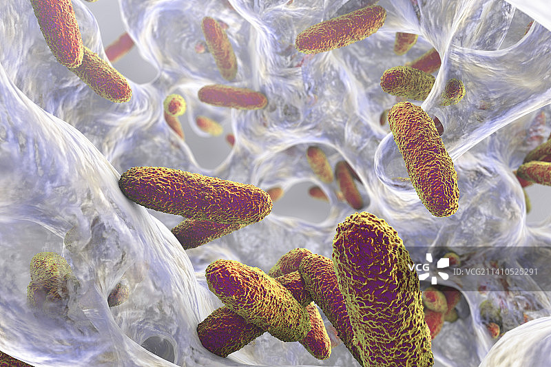 肺炎克雷伯菌细菌，图示图片素材