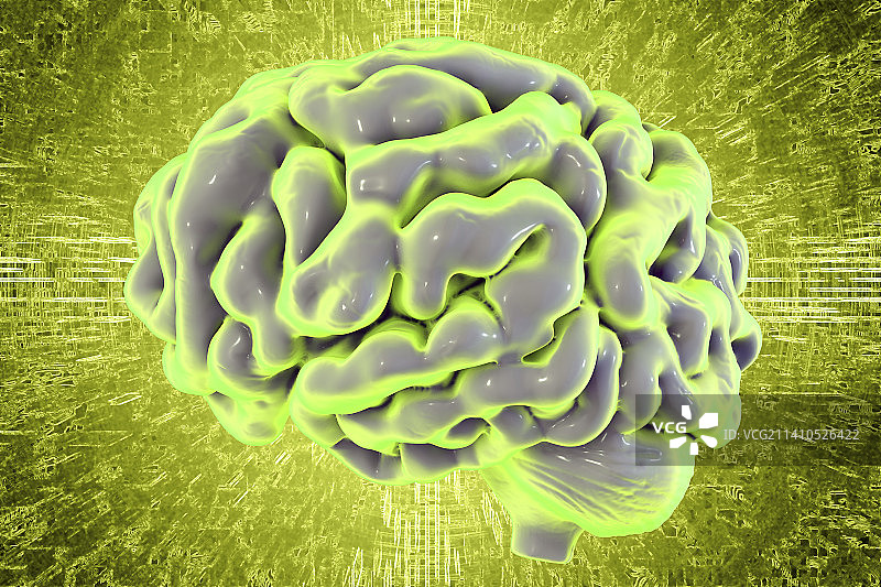 人脑，插图图片素材